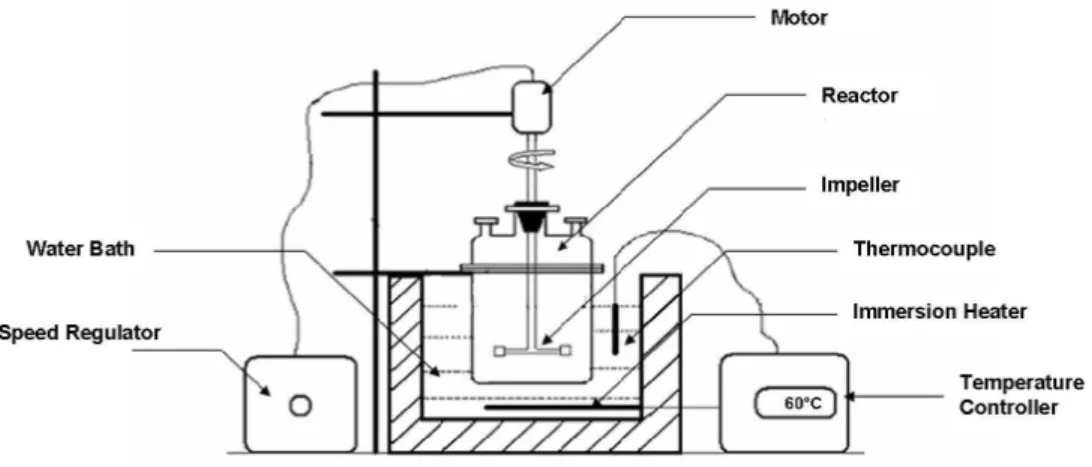 Figure 1: Schematic diagram of the experimental set up. 