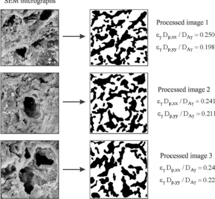Figure 6: Longitudinal and transverse components of the effective pore  diffusivity tensor for three processed images