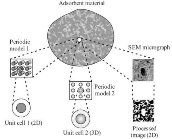Figure 3: Geometric models of unitary cells to  represent the microstructure of the adsorbet material