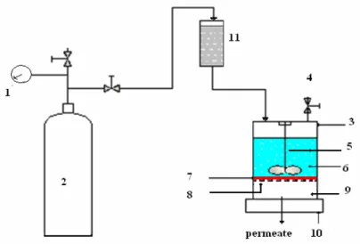 Figure 1: A schematic diagram of the CSTR-UF setup. 