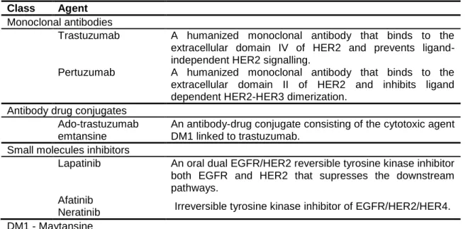 Table 4. HER2 targeted therapies approved in HER2 positive breast cancer  (Monteiro et al., 2015)    Class  Agent 