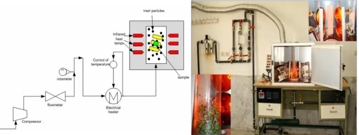 Figure 1: Schematic view of the fluidized bed drier  containing energy carrying particles combined with  infrared radiation 
