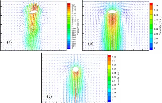 Figure 4: Flow field and shape of bubble rising in CMC solutions (m/s). (a) 0.2% CMC, d e   =  8.0mm;    