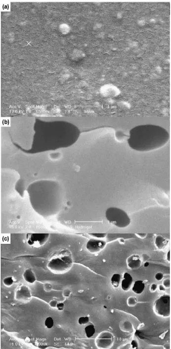 Figure 2 shows SEM micrographs of the kappa- kappa-carrageenan (a), H-κC-g-PAAm-co-PIA hydrogel (b),  and H- κ C-g-PAAm-co-PIA/montmorolonite composite 