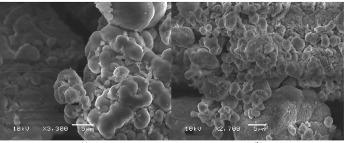 Figure 10: Micrographs of Al(OH) 3 .