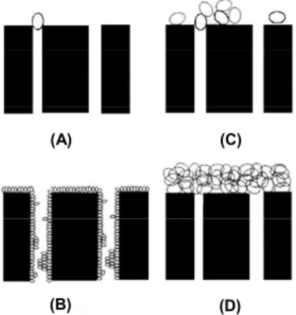 Figure 1: Schematic drawing of the fouling  mechanisms assumed: (A) complete blocking; (B)  internal pore blocking; (C) intermediate blocking; 