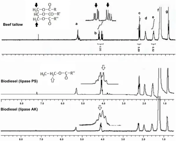 Figure 4:  1 H NMR spectra for beef tallow and biodiesel samples obtained with lipases PS and  AK immobilized on epoxy SiO 2 -PVA