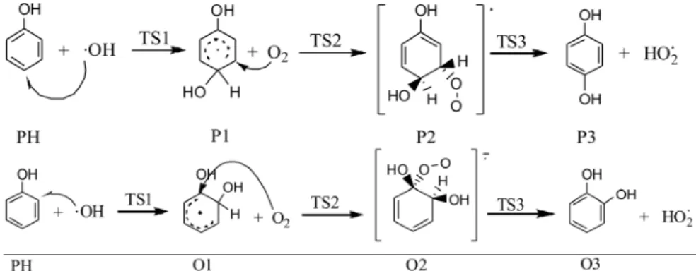 Figure 1: Conversion from phenol (PH) to catechol (O3) or hydroquinone  (P3), as proposed in this work