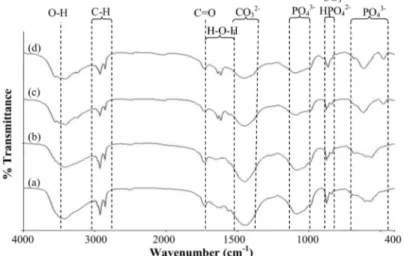 Figure 6: FTIR spectra of CaP nanoshells prepared using the DOPA  template for different concentrations of calcium ions: (a) C-DOPA-6,      (b) C-DOPA-4 (same as Figure 5 (d)), (c) C-DOPA-7, and (d) C-DOPA-8