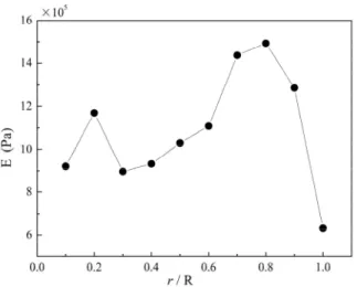 Figure 9: Intensity of instantaneous pressure  fluctuation E in different radial positions 