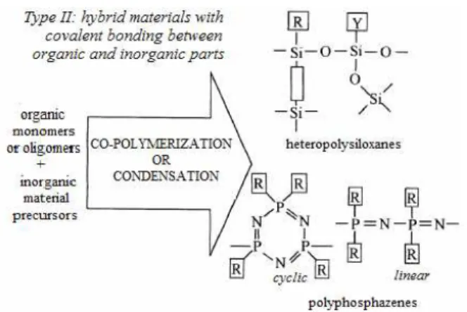 Figure 2: Hybrid materials (type II) based on  organic-inorganic polymers (Guizard et al., 2001)