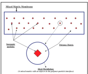 Figure 3: Schematic diagram of an ideal mixed  matrix membrane (Aroon et al., 2010). (Reproduced  with permission from Elsevier Co.) 