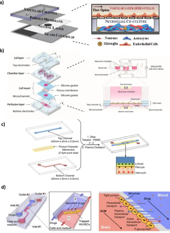 Figure 3. Examples of 2D BBB microfluidic models: (a) modular polydimethylsiloxane (PDMS) device  to recreate the NVU by co-culture of neuroglial and endothelial cells, (b) pumpless microdevice that  provides in vivo-like BBB properties for drug permeabili