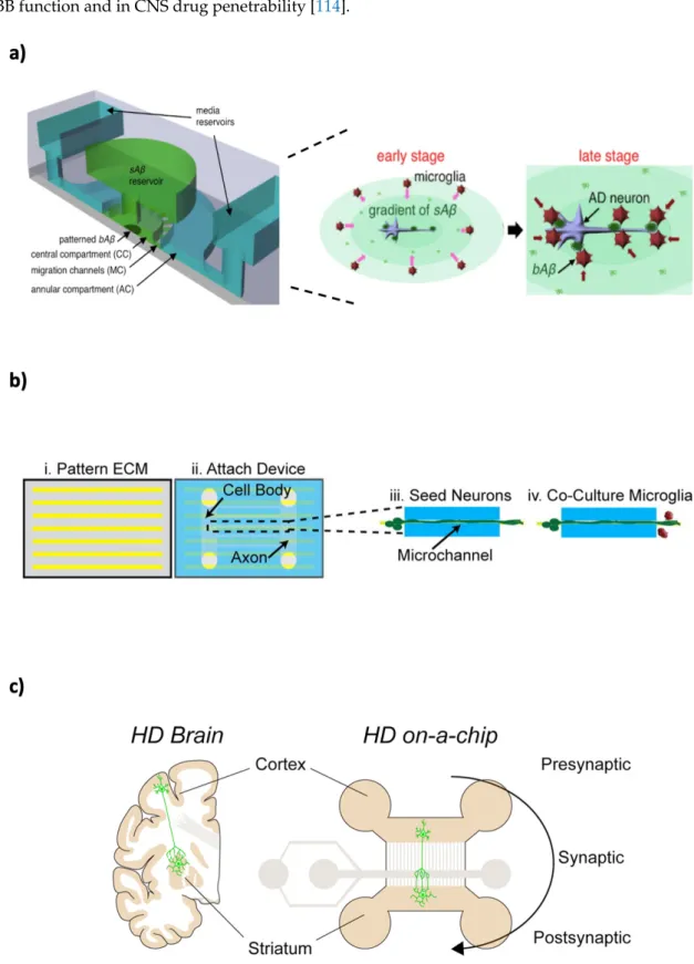 Figure 5. Schematic representation of some microfluidic models for neurodegenerative diseases,  namely: (a) Alzheimer’s disease, (b) Multiple sclerosis, (c) Huntington’s disease
