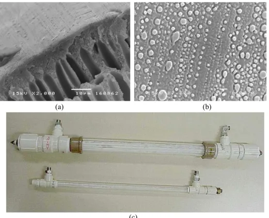 Figure 1: SEM images of the composite membrane – (a) cross-section, (b) surface and (c)  membrane modules used in the experimental work   