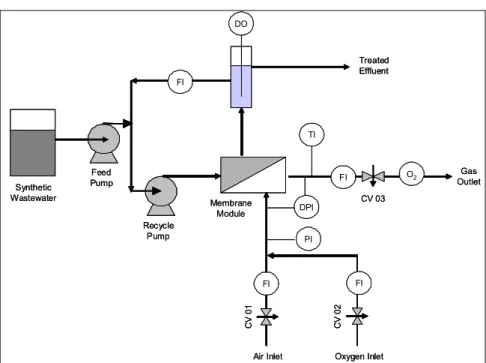 Figure 2: Schematic view of the experimental set-up used to evaluate COD  removal from synthetic sanitary wastewater during operation of the MABR