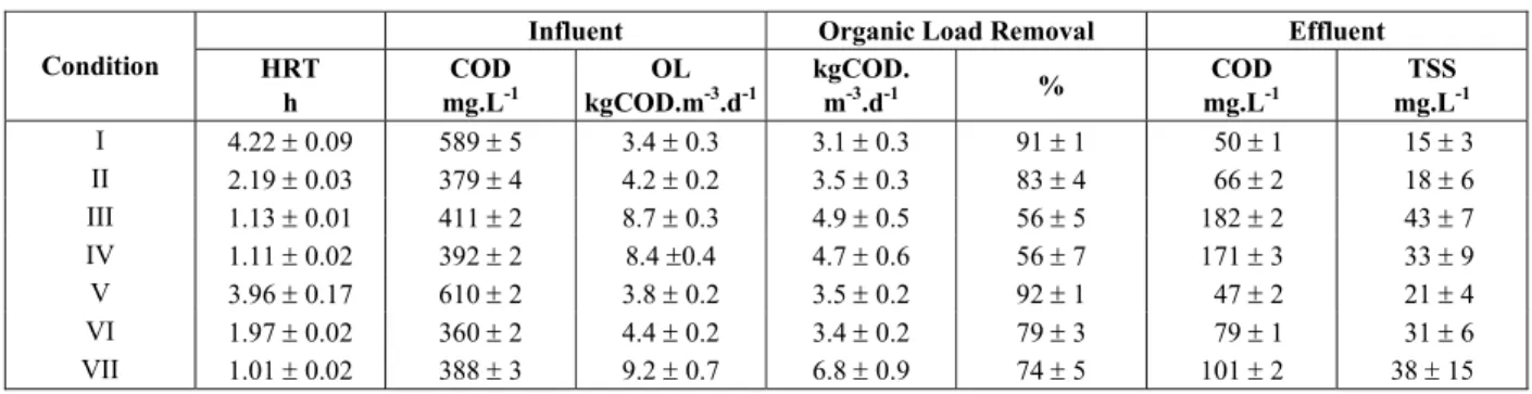 Figure 6: Biofilm accumulation on the surface of the MABR fibers - from left  to right, 0, 7, 15 and 60 days of operation