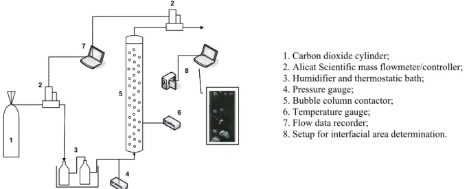 Figure 1: Experimental set-up employed in the carbon dioxide absorption experiments. 