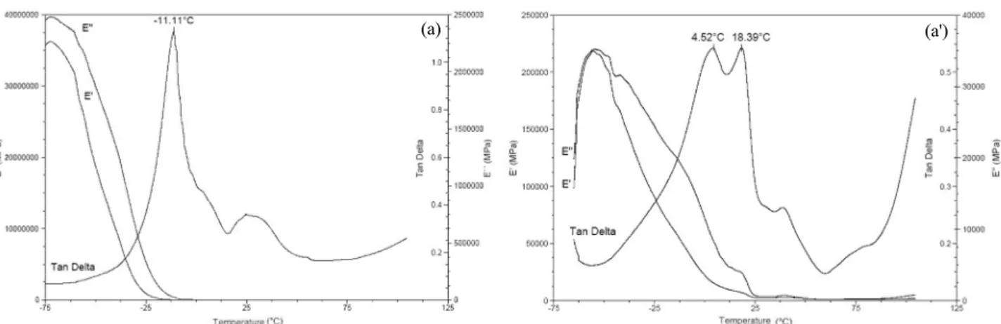 Figure 5: Thermomechanical analysis output of alginate film plasticized with xylitol: (a) pre-film (1 st  Stage) and  (a’) Ca ++  film (2 nd  Stage)