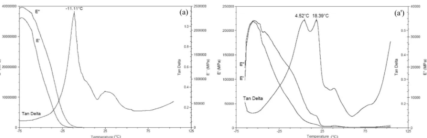 Figure 5: Thermomechanical analysis output of alginate film plasticized with xylitol: (a) pre-film (1 st  Stage) and  (a’) Ca ++  film (2 nd  Stage)