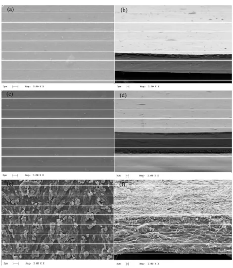 Figure 3: Micrographs of the surface ((a), (c) and (e)) and of the cross  section ((b), (d) and (f)) of the alginate pre-films plasticized with glycerol,  xylitol and mannitol, respectively (1 st  Stage)