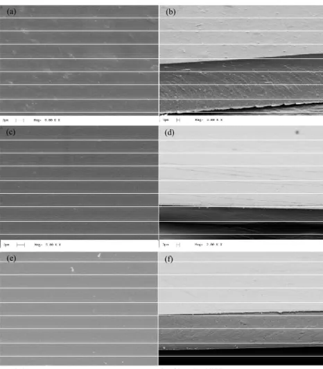 Figure 4: Micrographs of the surface ((a), (c) and (e)) and of the cross  section ((b), (d) and (f)) of the calcium alginate films platicized with  glycerol, xylitol and mannitol, respectively (2 nd  Stage)