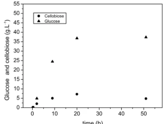 Figure 1: Time evolution of cellobiose (and glucose)  concentration in a hydrolysis assay (for pretreated  steam exploded bagasse) at 50 °C, pH 4.8, substrate  load of 6.54% (w cellulose  / w total ) in an Erlenmeyer  flask, 1.4 FPU.ml -1 solution  of Acce