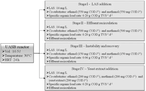 Figure 1: Stages employed in the UASB reactor. 