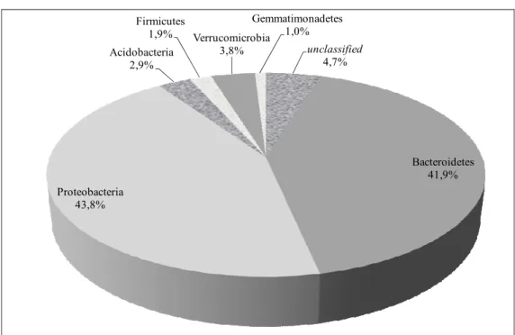 Figure 1: Phylogenetic representation of the microorganisms sampled during FBR operation 