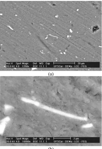 Figure 7 shows the SEM photomicrographs of the  potassium clavulanate precipitate obtained in  experiment 17 (central point)