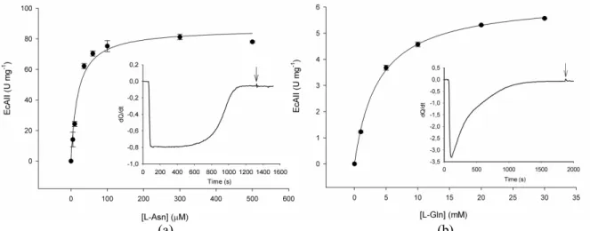 Figure 4: EcAII kinetic and thermodynamic parameters. Initial velocity experiments at different L-Asn (a)  and L-Gln (b) concentrations, as measured by ITC