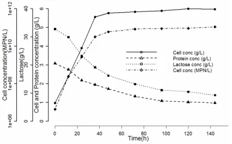 Table 4 list the parameters estimated for the  reconstituted and fresh whey fermentation systems