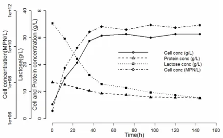 Figure 4: Growth pattern of fresh whey fermentation containing 33g/L of  lactose under optimized conditions 