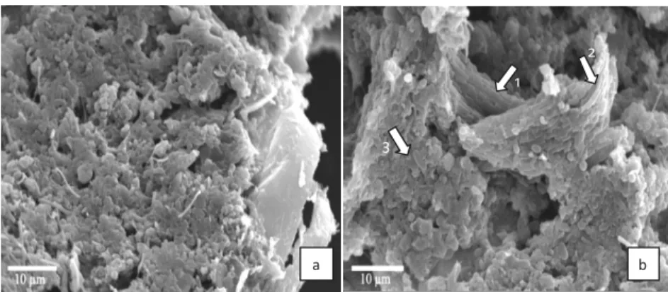 Figure 6: (a) Presence of inert material as a substrate for bacterial  attachment in the formation of the granules in the third ABR chamber