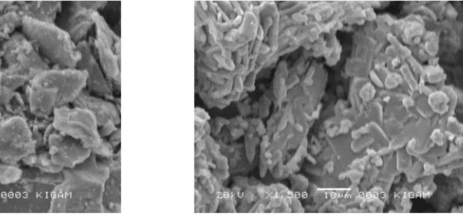 Figure 3: Schematic representation of a molybdenite particle. 