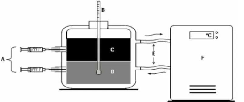 Figure 1: Schematic diagram of the liquid-liquid phase equilibrium apparatus. 