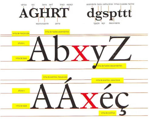 Figura  15  –  Anatomia  tipográfica  (fonte:  Jute,  André  (1999).  Grelhas  e  estrutura  do  design  gráfico