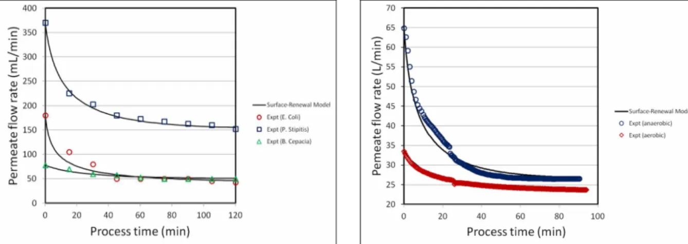 Table 2: Parameter values of the surface-renewal model for the cross-flow microfiltration runs of Table 1