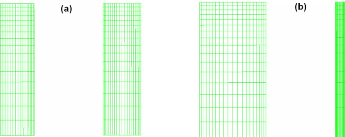 Figure 3: Grid refinement in the intake region: (a) concentric; (b) eccentric (E = 0.75)