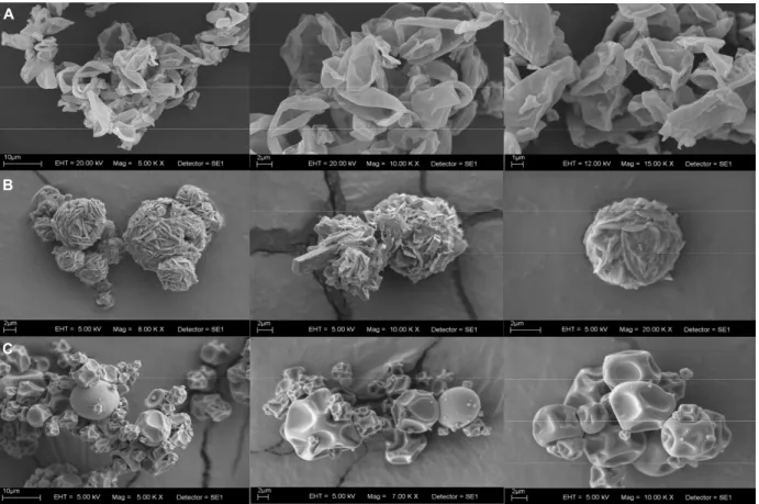 Figure 5: Scanning electron photomicrographs of the spray-dried lipases with different adjuvants: β-cyclodextrin  (A), lactose (B), and maltodextrin (C)