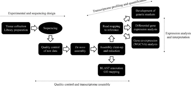 Fig. 2 – Basic RNA-Seq analysis workflow outline in ecological genomics. 
