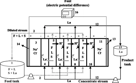 Figure 1: Schematic representation of the electrodialysis unit used in the  experiments