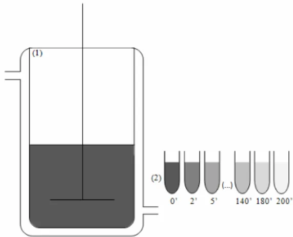 Figure 1: Schematic mixture reactor used for the  adsorption of C-phycocyanin onto the ion exchange  resins, where (1) is a temperature controlled mixture  reactor and (2) non-adsorbed samples of  C-phyco-cyanin taken at determined time intervals