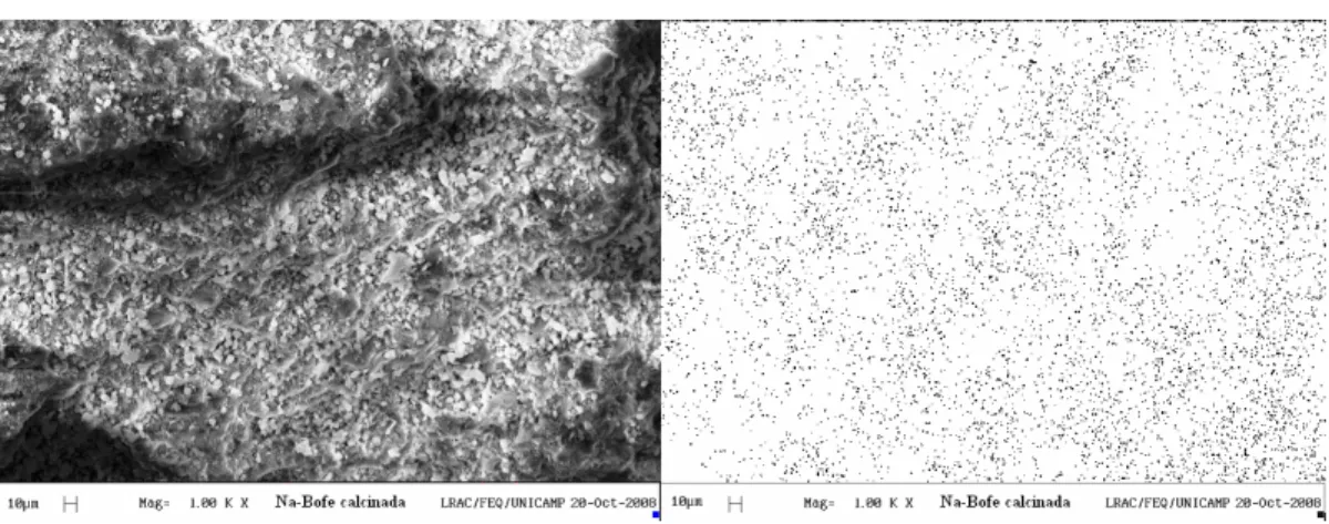 Figure 5: EDX mapping of sodium in Bofe calcined clay after treatment with 1% NaCl (pH 3)  in fixed bed
