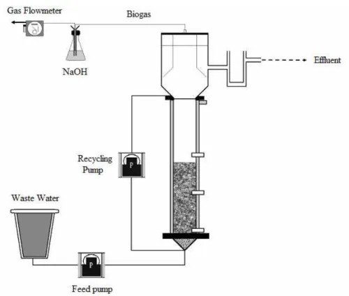 Figure 1: Schematic of the anaerobic fluidized bed reactor. 