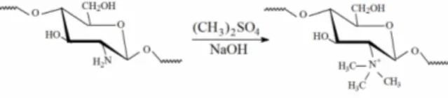 Figure 1: Schematic representation of the reaction  leading to the quaternization of the amine groups of  chitosan, resulting in N,N,N-trimethylchitosan