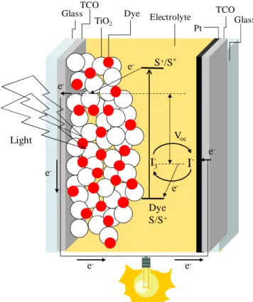 Figure  1.2  Schematic  structure  and  principle  of  operation  of  a  typical  dye-sensitized  solar  cell