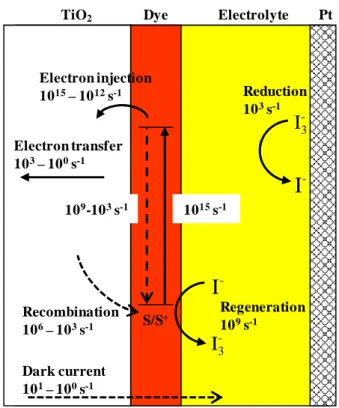 Figure 1.6 Schematic diagram of the kinetics of the electron-transfer processes at the  different interfaces in DSCs