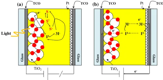 Figure  1.8  DSC  operating  under  different  conditions:  (a)  under  illumination  and  at  open-circuit voltage; (b) under dark and also at open-circuit voltage