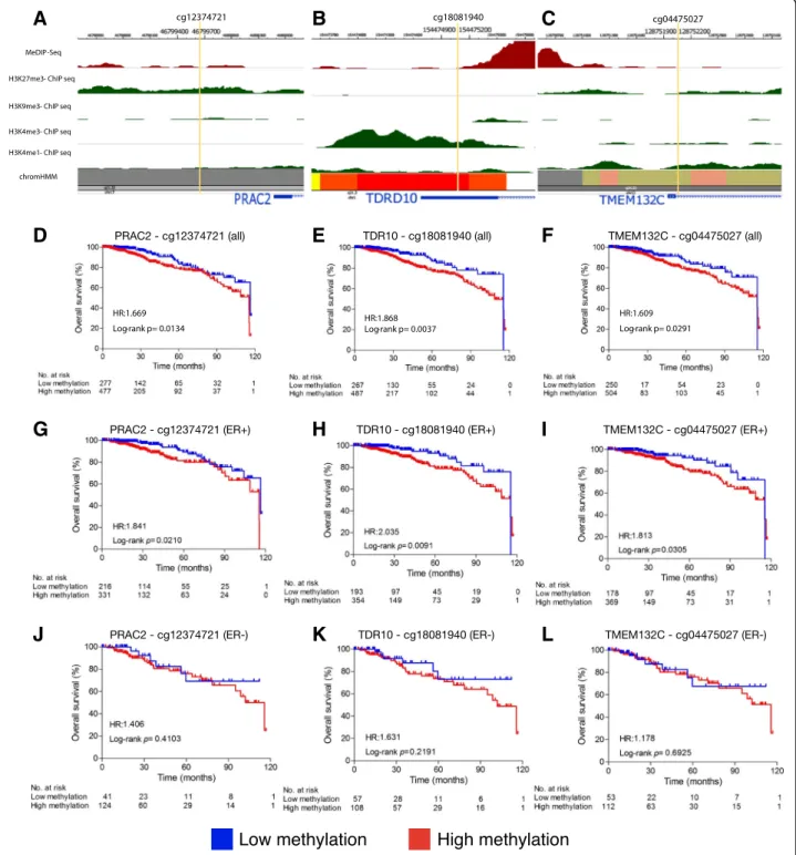 Fig. 4 Epigenetic analysis of CpGs sites from PRAC2 , TDRD10 and TMEM132C ( “ bottom 7 ” genes)